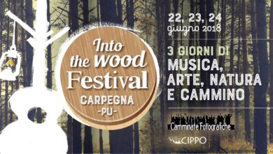 INTO THE WOOD FESTIVAL